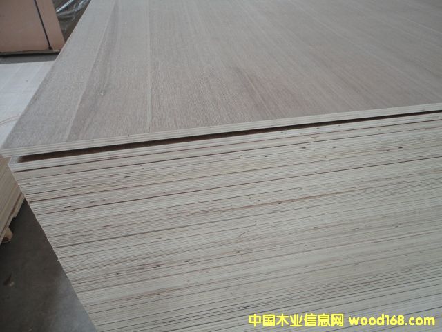 ����ģ�塢�z�ϰ������b���Ԕ��(x��)��B