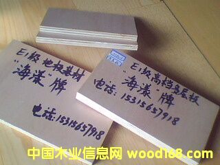 E1���ߙn�h(hu��n)���ذ���ĵ�Ԕ��(x��)��B