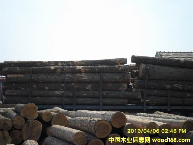 �����ɵ�Ԕ����B