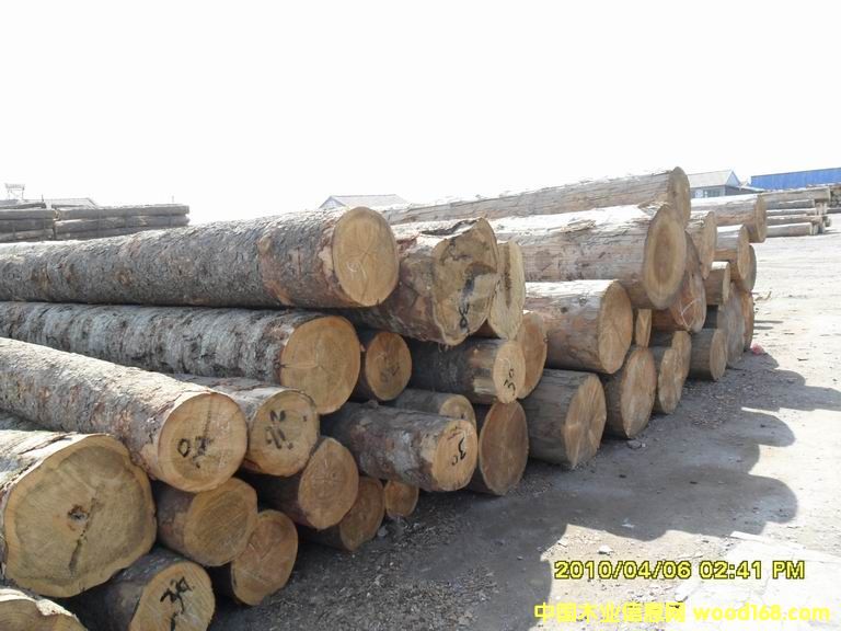 ��ľԭľ��Ԕ����B