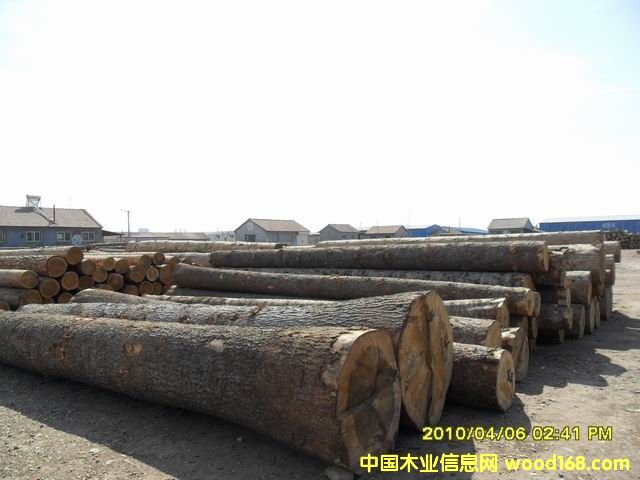 ԭľ��Ԕ����B