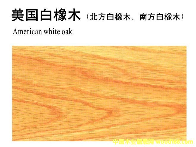 ��������ľ��Ԕ��(x��)��B