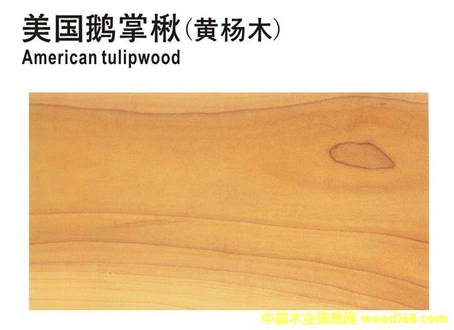 �����Z���(�S��ľ)