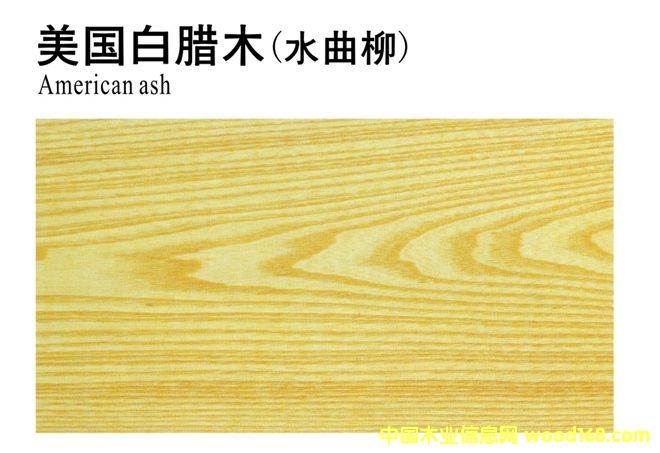 �������Dľ(ˮ����)��Ԕ��(x��)��B