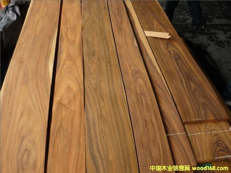 ��֦��Ԕ��(x��)��B