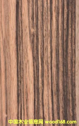 ��̴��Ԕ��(x��)��B