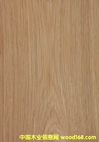 �����Ԕ��(x��)��B