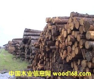 ��ľԭľ��Ԕ����B