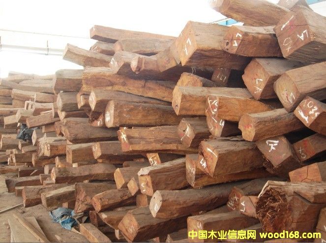 ������֦��Ԕ��(x��)��B