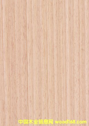 �Ƽ�ľľƤ��Ԕ����B