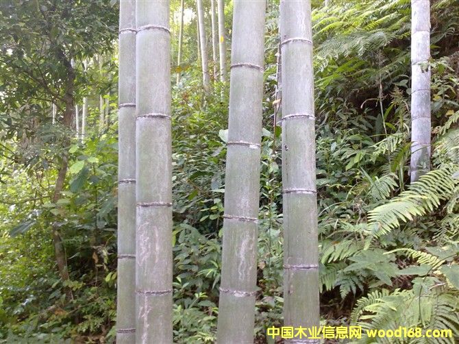 ë���Ԕ��(x��)��B