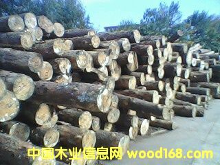 �����m�����ɵ�Ԕ��(x��)��B