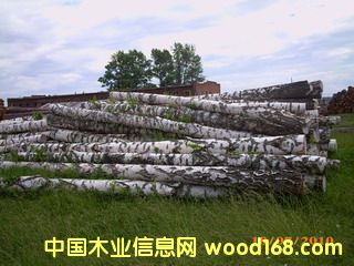 ��ľ���Ԕ��(x��)��B