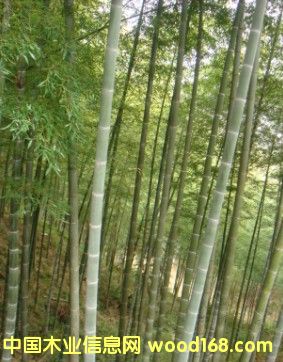 ë���Ԕ����B