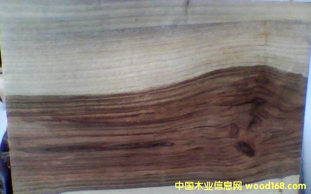 ����ľ��Ԕ��(x��)��B