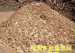 ���zľ����Ԕ����B