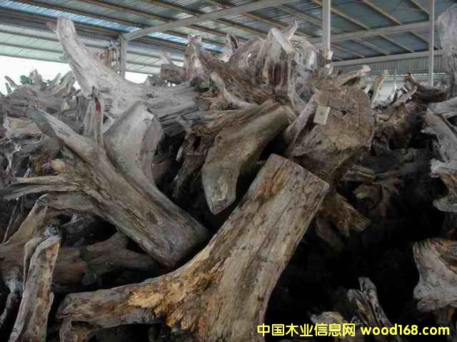 �ϓ�t��֦���^�������Ԕ��(x��)��B