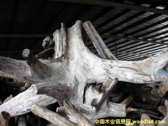 �ϓ�t��֦���^�������Ԕ��(x��)��B