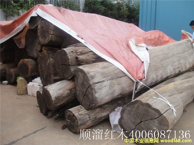 �������֦��Ԕ��(x��)��B