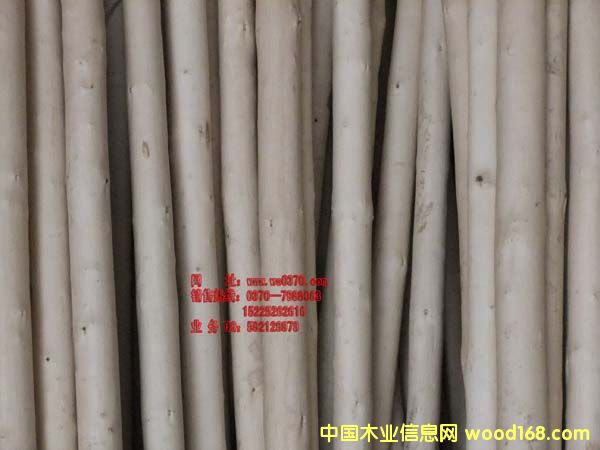 �ك����͘��U��Ԕ����B