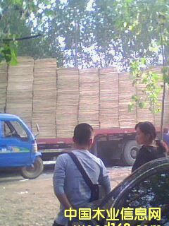 ��ľ�ΰ��Ԕ��(x��)��B