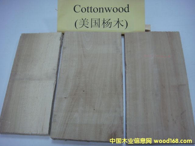 ����(gu��)��ľCottonwood��Ԕ��(x��)��B