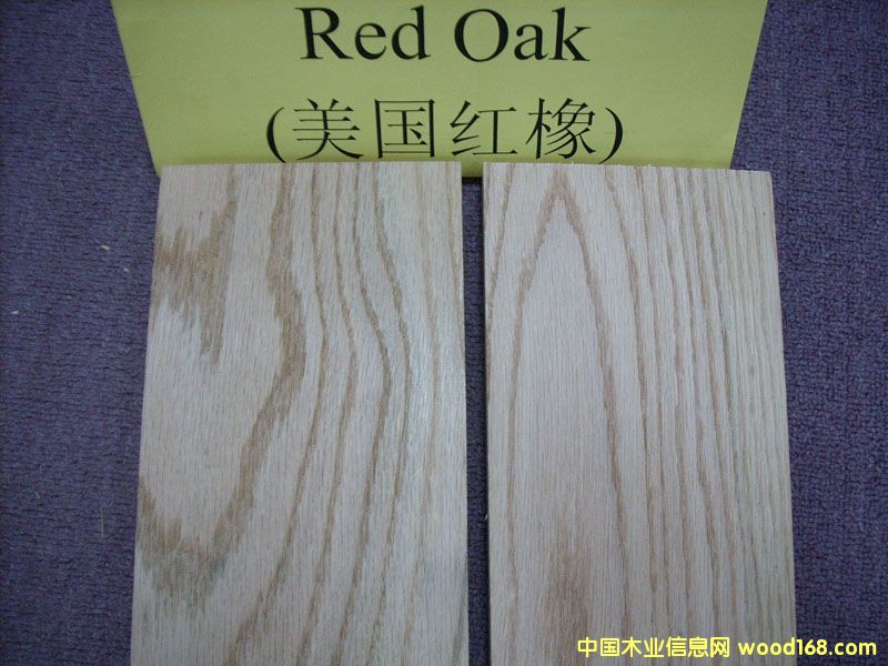 ����(gu��)�t��ľRed Oak��Ԕ��(x��)��B