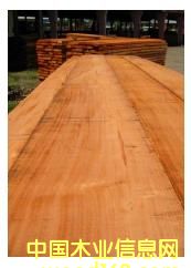 �һ���ľ��Ԕ��(x��)��B