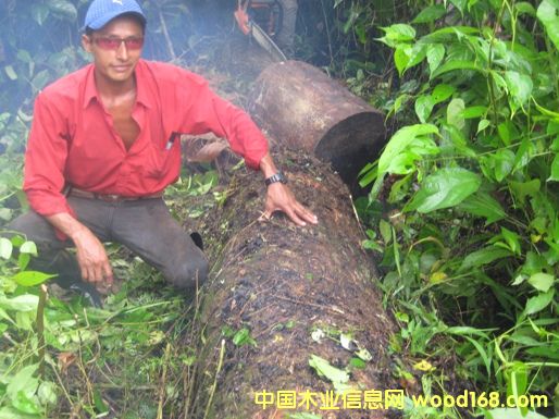 9��Ԕ��(x��)��B