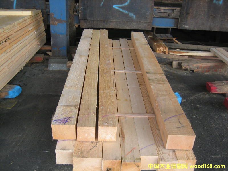 ��ɼ���1��Ԕ����B