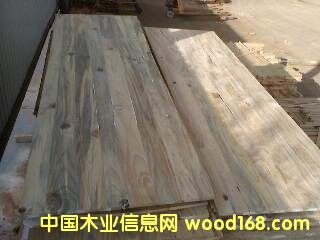 ��ľָ�Ӱ��Ԕ��(x��)��B