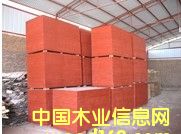 ���ɼt�潨��ģ���Ԕ��(x��)��B