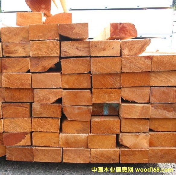 �Fɼ��Ԕ����B