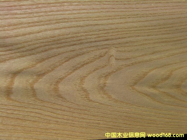 ��ľ��Ԕ��(x��)��B