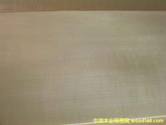 �ľ��Ԕ��(x��)��B