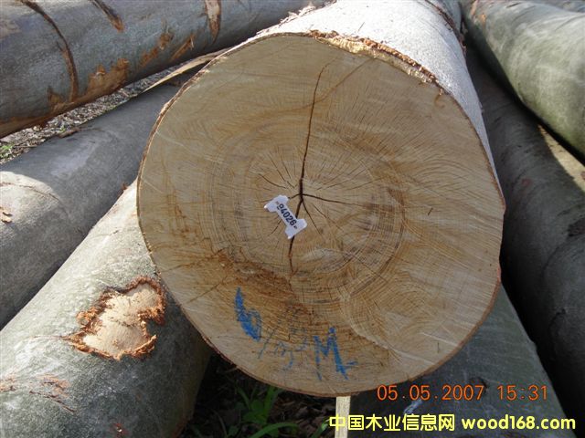 ɽë��ľ��Ԕ��(x��)��B