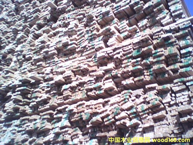 ľ����ľ��������Ԕ��(x��)��B