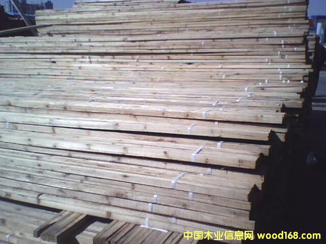 ľ����ľ��������Ԕ��(x��)��B