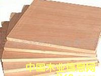 �ߙn�Ҿ��ð��Ԕ��(x��)��B