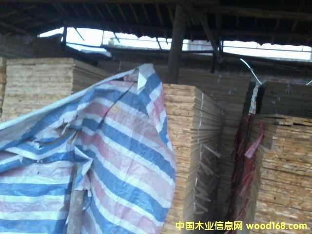 ���Ӱ���