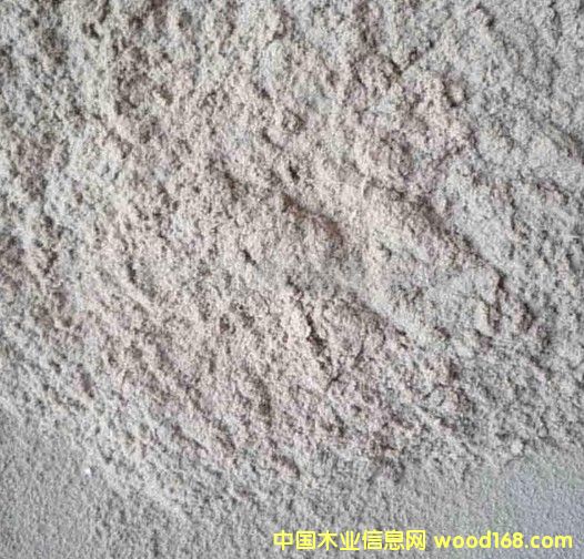 ľ�۵�Ԕ����B