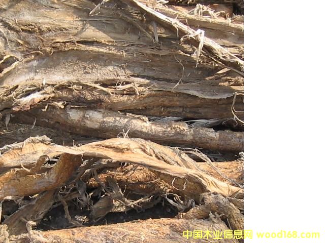 ��ľƤ��Ԕ����B