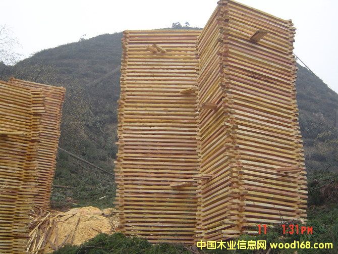 ��ɼ��Ԕ����B