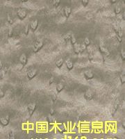 雀眼3的詳細(xì)介紹