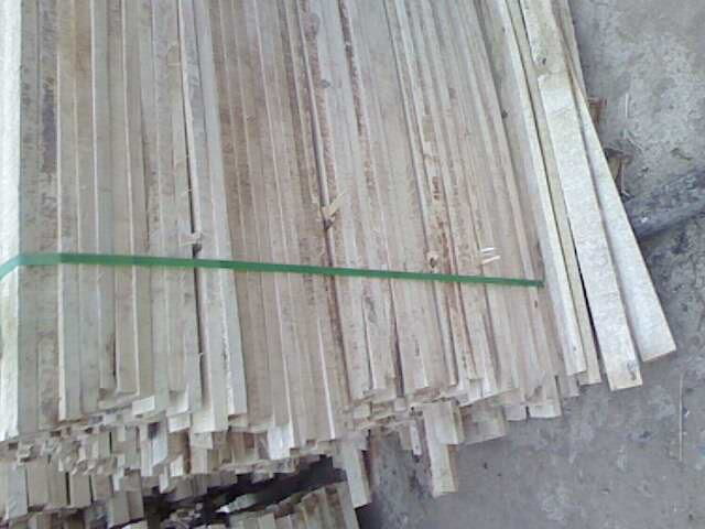 ��ľľ����Ԕ��(x��)��B