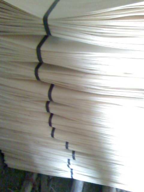 ��ľо���Ԕ��(x��)��B