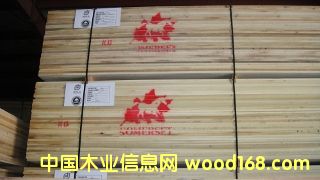 FAS Poplar��Ԕ����B