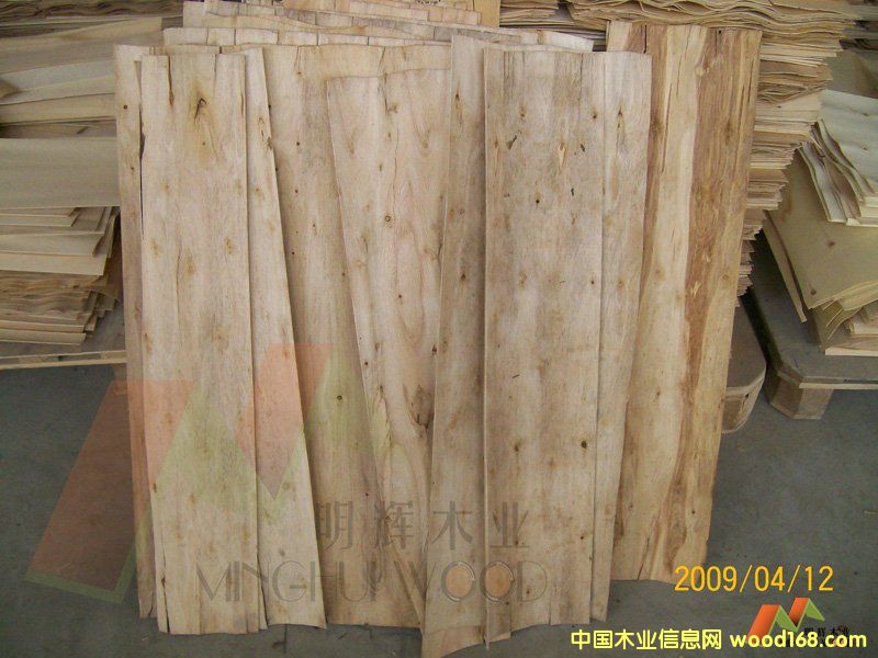 ��ľ����(j��)���Ԕ��(x��)��B