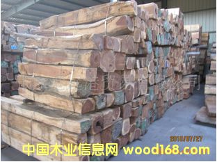 ����(y��ng)���黨֦ ����֦ �t��֦��Ԕ��(x��)��B