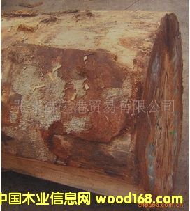 ����(y��ng)�Sͩԭľ ľ�� ��� TRBU / EN